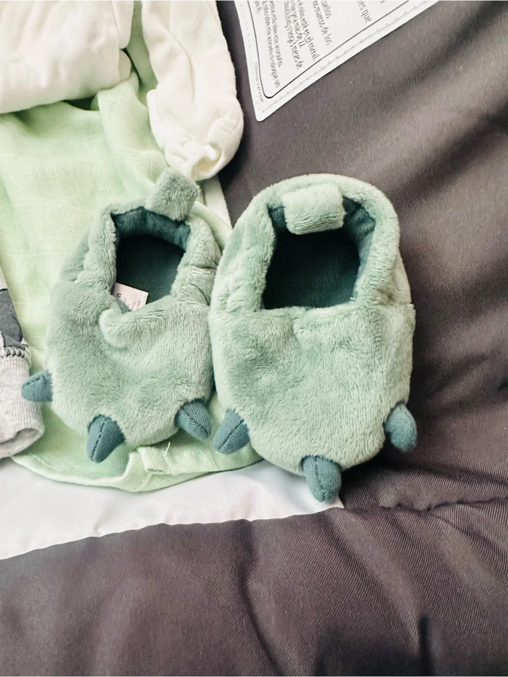 Carter's 3 piece set with Gray Dinosaur Graphic & slippers